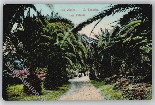51396276 las palmas de - las,