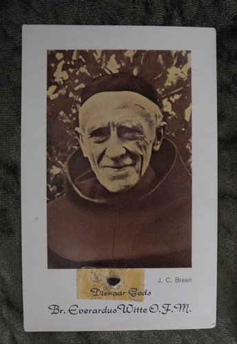Antico olandese everardus - br.,