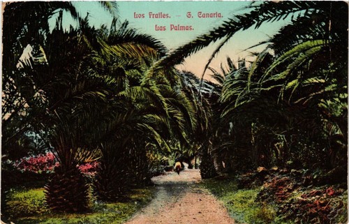 Cpa espagne gran canaria los - espagne,